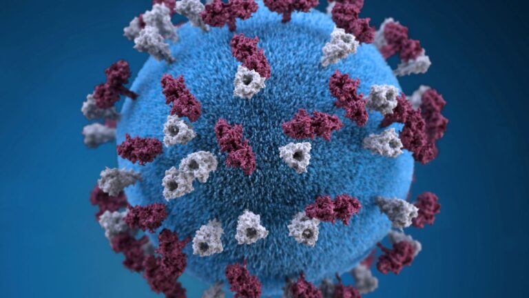 skynews-measles-graphical-virus_6855358.jpg