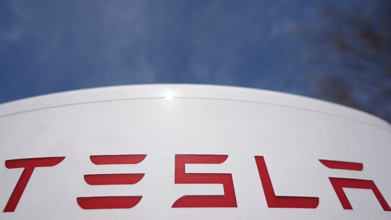 skynews-tesla-georgia-us_6865566.jpg